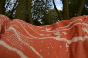 DSC_0856