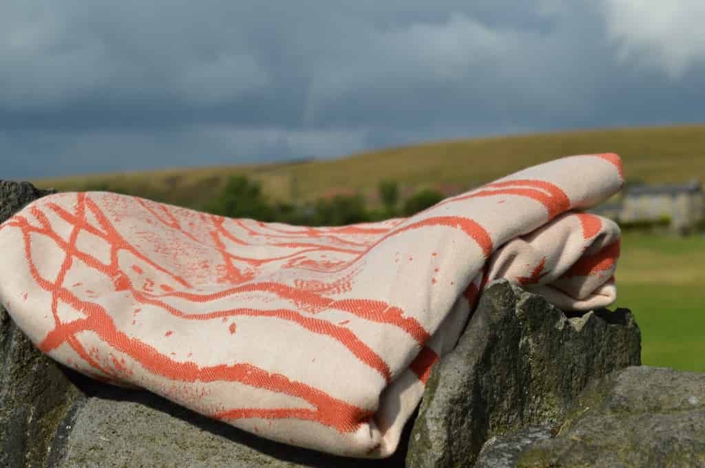 DSC_0863