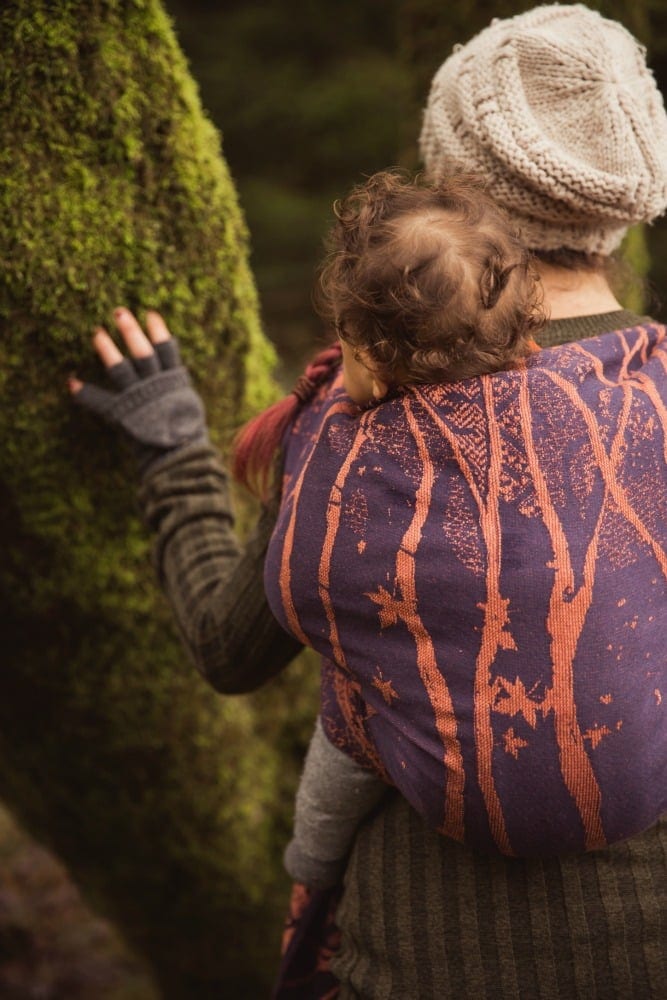 smallGrizedale Twilight Birch Trees-11