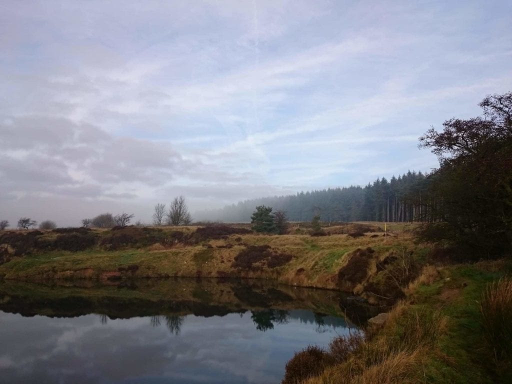 Snacks by the lagoon, looking out towards Charters Moss
