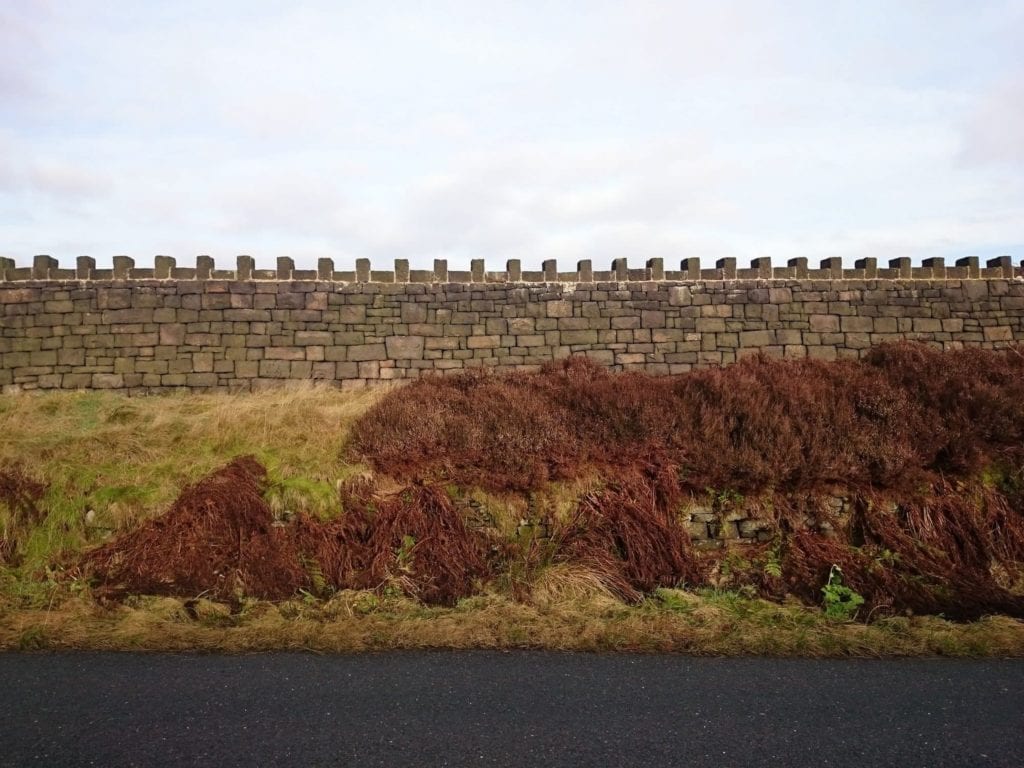 pattern inspiration: the dry stone wall enclosing Delph Reservoir Sailing Club