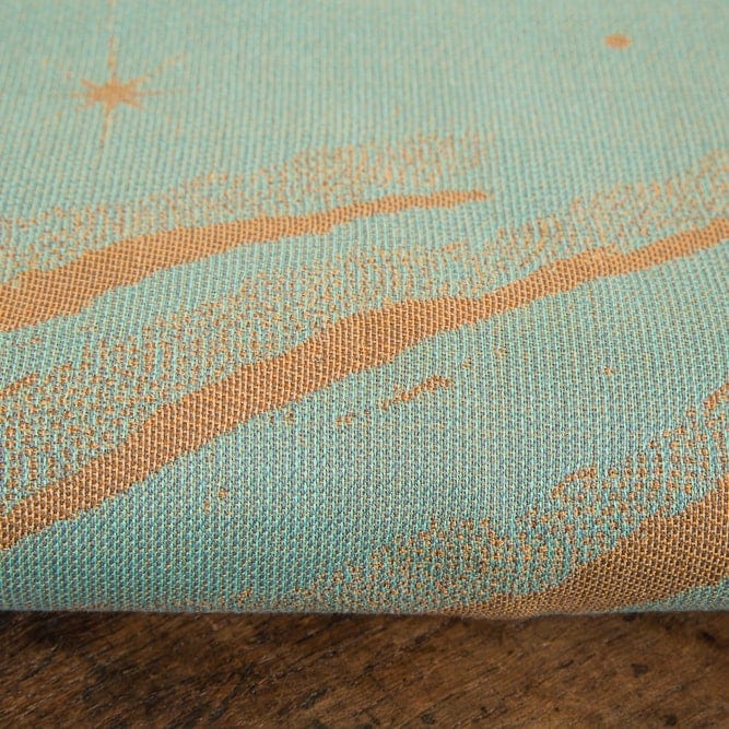 Charters Moss Dragonfly: Wrap Database