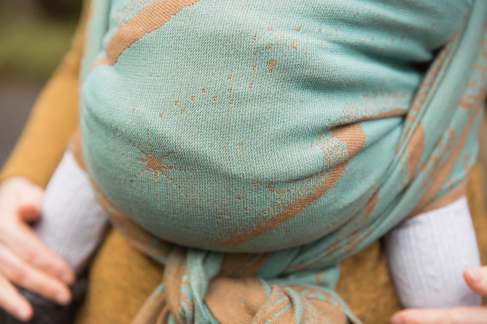 Charters Moss Dragonfly: Wrap Database