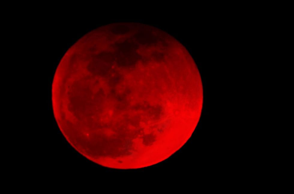 Blood Moon and Pink Moon Warp: Collection Overview