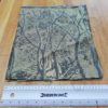 Kokiri Mercury Birch Trees 30cm wrap scrap square