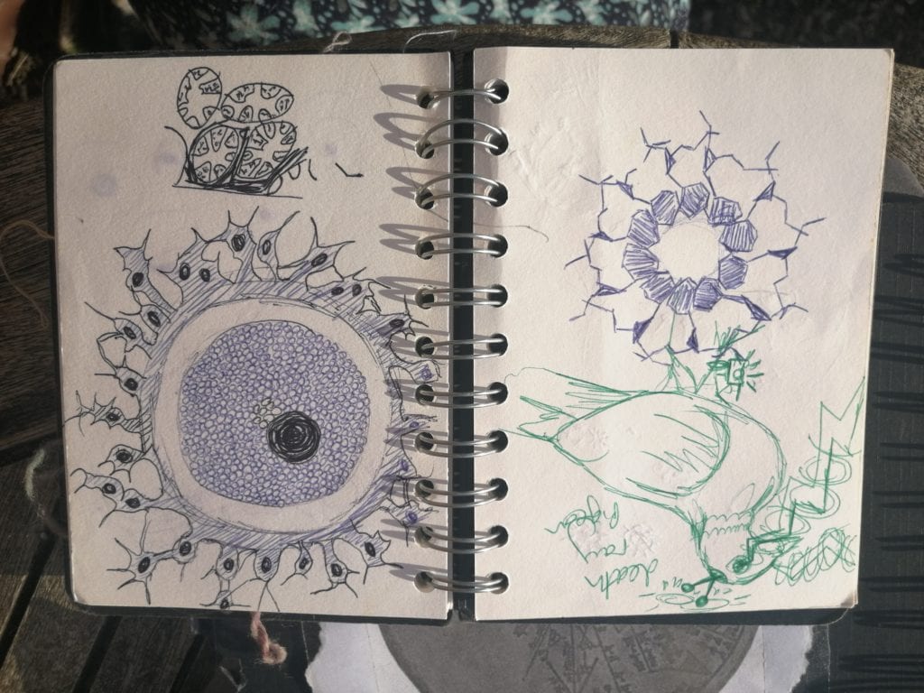 Our Early Sketchbooks: Look Inside!
