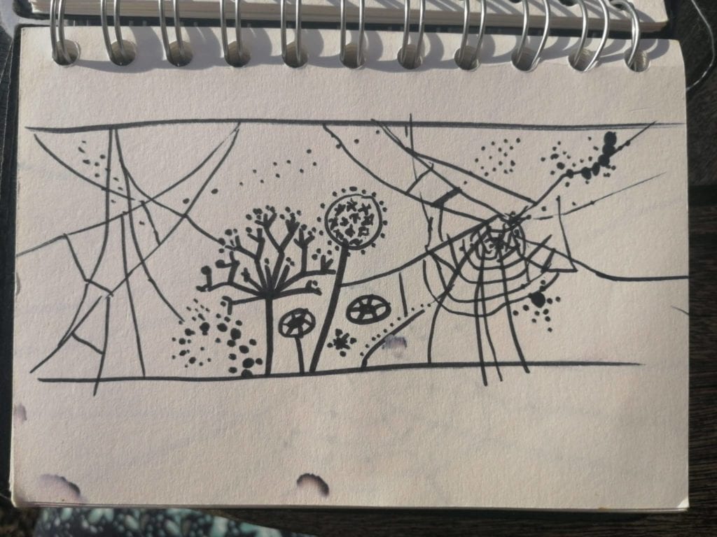 Our Early Sketchbooks: Look Inside!