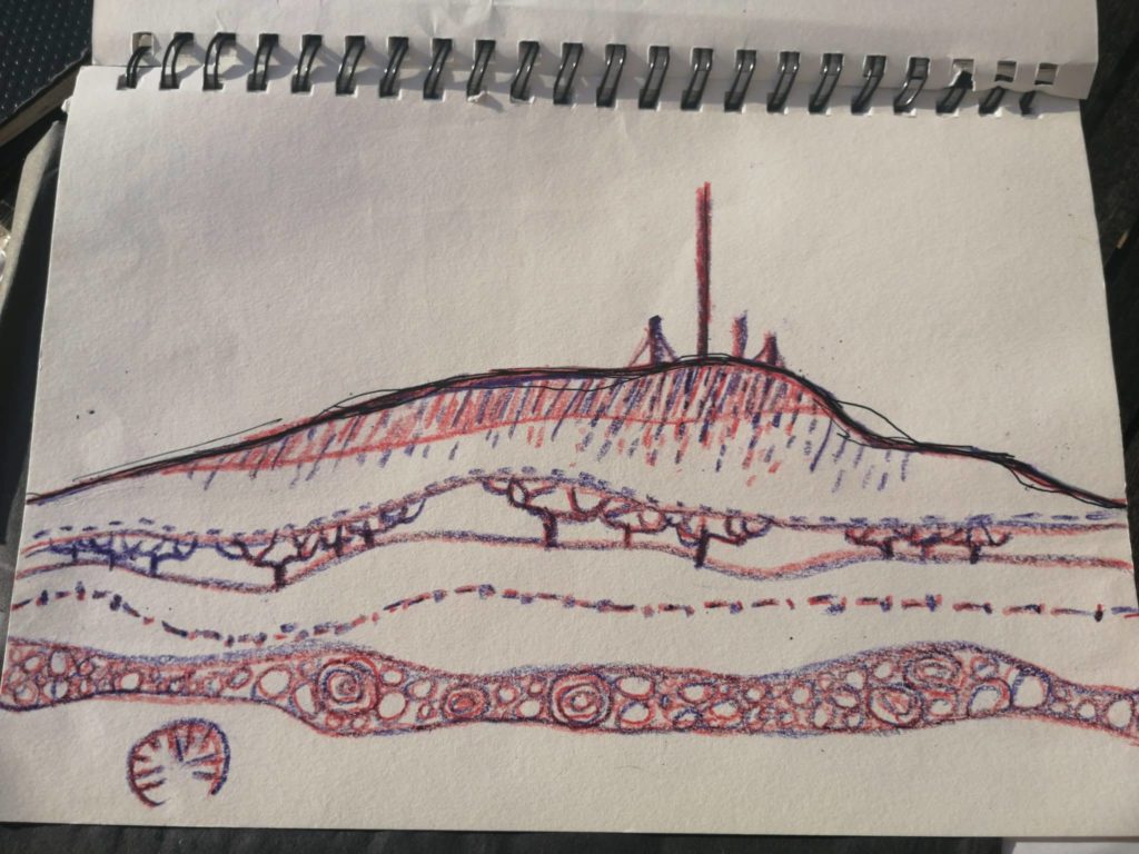 Our Early Sketchbooks: Look Inside!