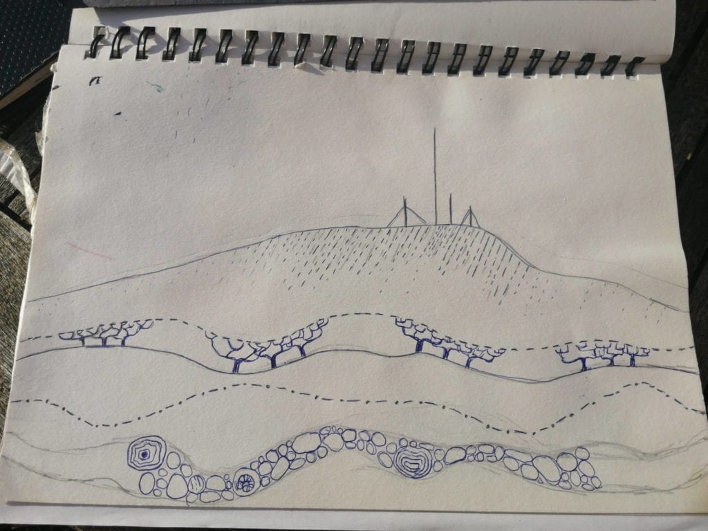 Our Early Sketchbooks: Look Inside!