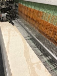 dryad frost birch trees blanket