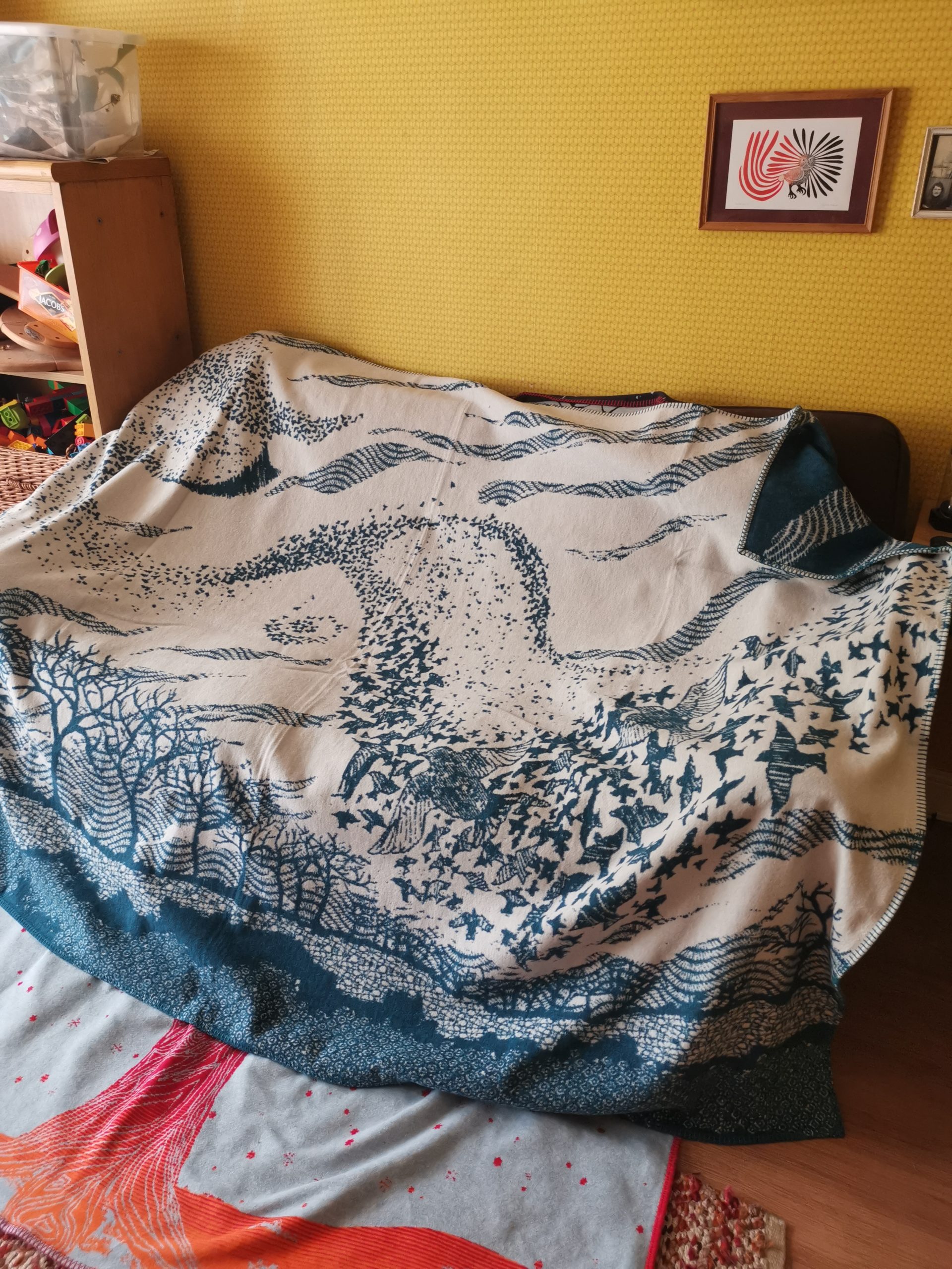 waterwitch murmuration blanket