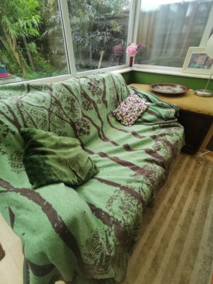 woodsprite Burnish Birch Trees Blanket