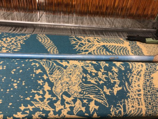 Halcyon Chryso Murmuration: Blankets Database