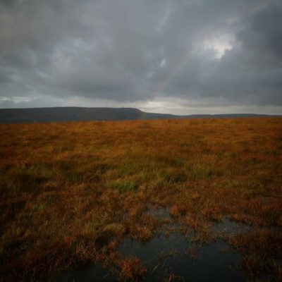 The Birth of Winter Hill: Design History