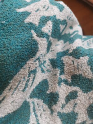 Starling Glasto Murmuration: Blankets Database