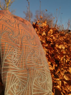 Earthwitch Stargaze Curves Of Pursuit: Wrap Database