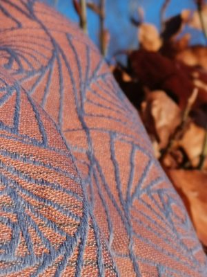 Earthwitch Stargaze Curves Of Pursuit: Wrap Database