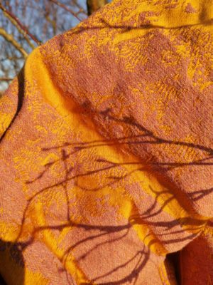 Nightshade Sunhaze Birch Trees: Wrap Database