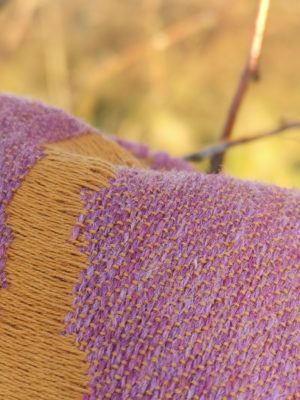 Nightshade Sunhaze Birch Trees: Wrap Database