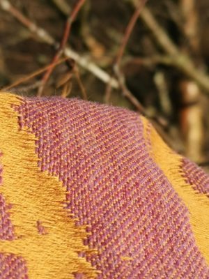 Nightshade Sunhaze Birch Trees: Wrap Database