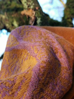 Nightshade Sunhaze Birch Trees: Wrap Database