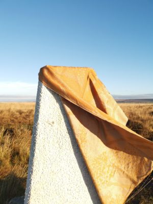 Celestine Sunhaze Murmuration: Wrap Database
