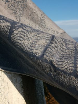 Celestine Stargaze Murmuration: Wrap Database