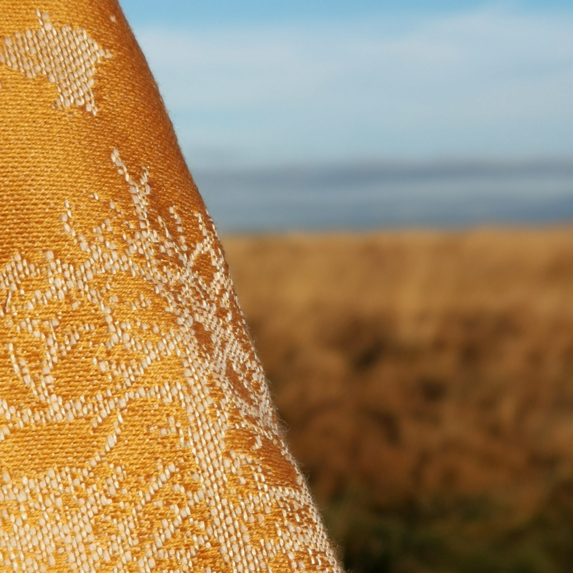 A woven wrap that has a shimmery pale grey linen and merino blend weft against a mustard-gold organic cotton warp. Our Murmuration design shows a starling murmuration over a wintery treeline