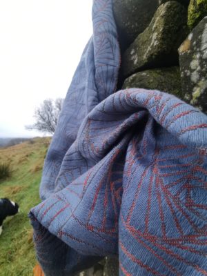 Earthwitch Stargaze Curves Of Pursuit: Wrap Database