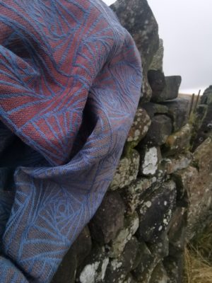 Earthwitch Stargaze Curves Of Pursuit: Wrap Database