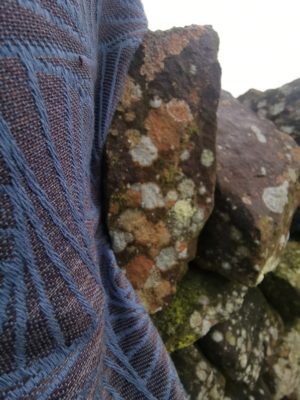 Earthwitch Stargaze Curves Of Pursuit: Wrap Database