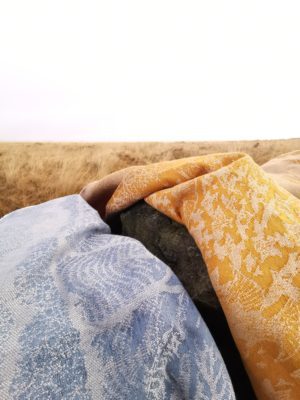 Sunhaze & Stargaze Warp: Collection Overview