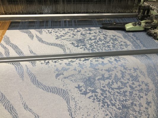 Sunhaze & Stargaze Warp: Collection Overview