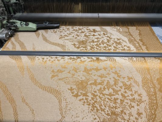 Sunhaze & Stargaze Warp: Collection Overview