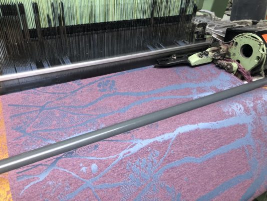 Sunhaze & Stargaze Warp: Collection Overview