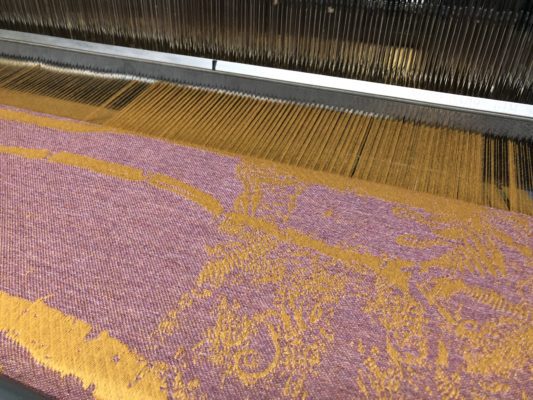 Sunhaze & Stargaze Warp: Collection Overview