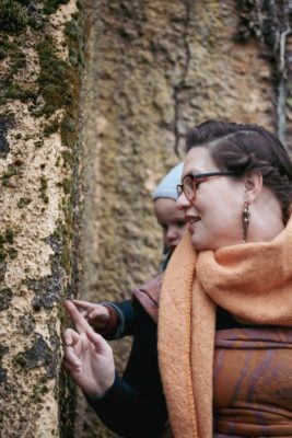 Nightshade Sunhaze Birch Trees: Wrap Database