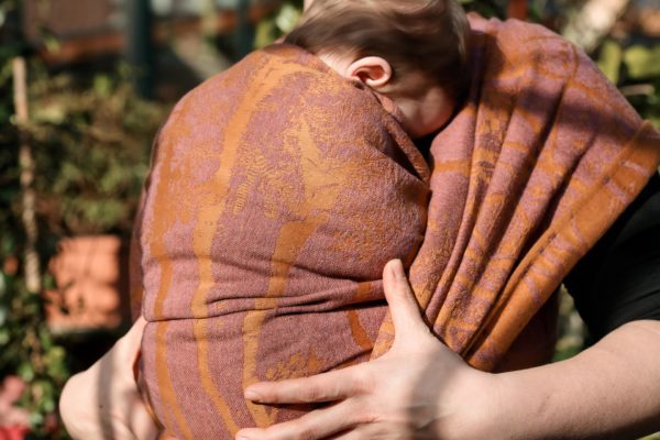 Sunhaze & Stargaze Warp: Collection Overview