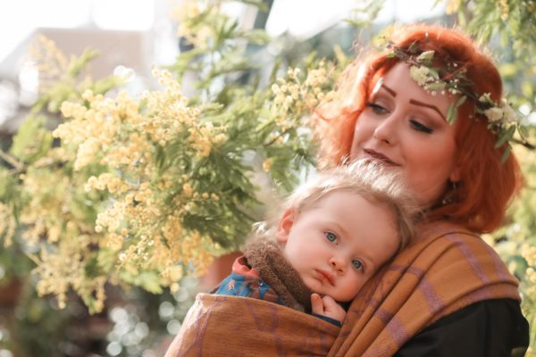 Nightshade Sunhaze Birch Trees: Wrap Database