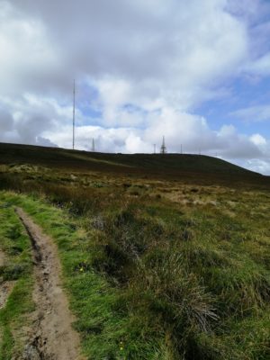 The Birth of Winter Hill: Design History