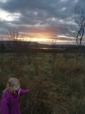 The Birth of Winter Hill: Design History