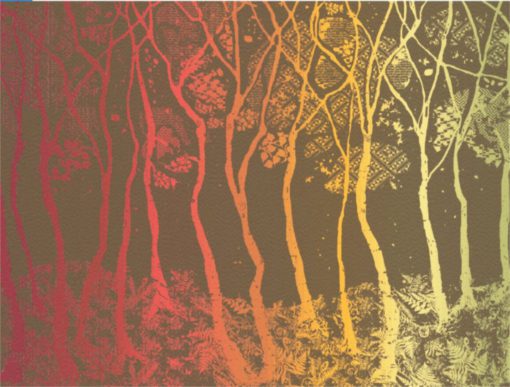 autumn rainbow birch trees blanket