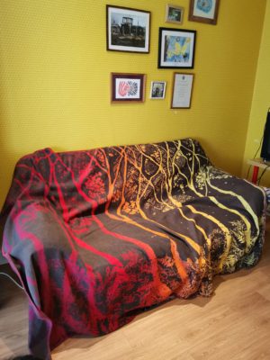 autumn rainbow birch trees blanket