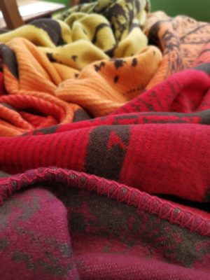 autumn rainbow birch trees blanket