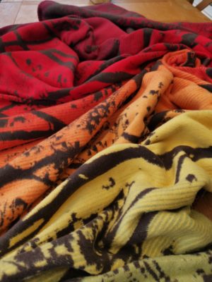 autumn rainbow birch trees blanket