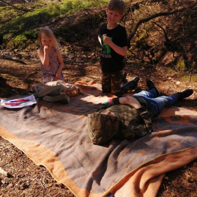 Firecrest Mercury Microcosm Blanket