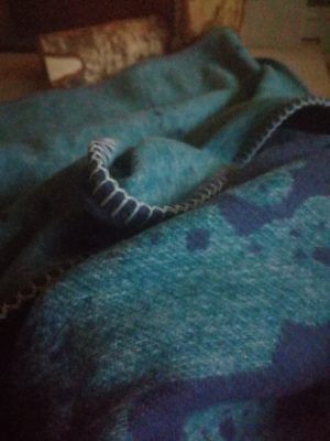 Swell Octarine Seafoam Blanket