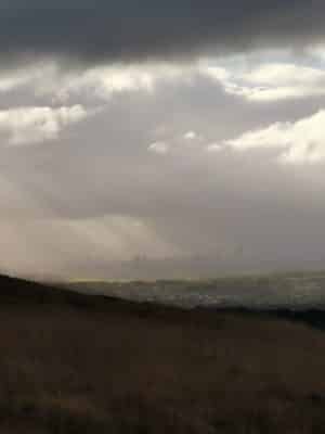 Jen's tattoo inspiration