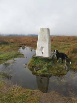 Jen's tattoo inspiration