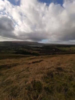 Jen's tattoo inspiration